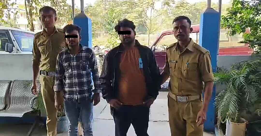 IMG-20241119-WA0244-copy