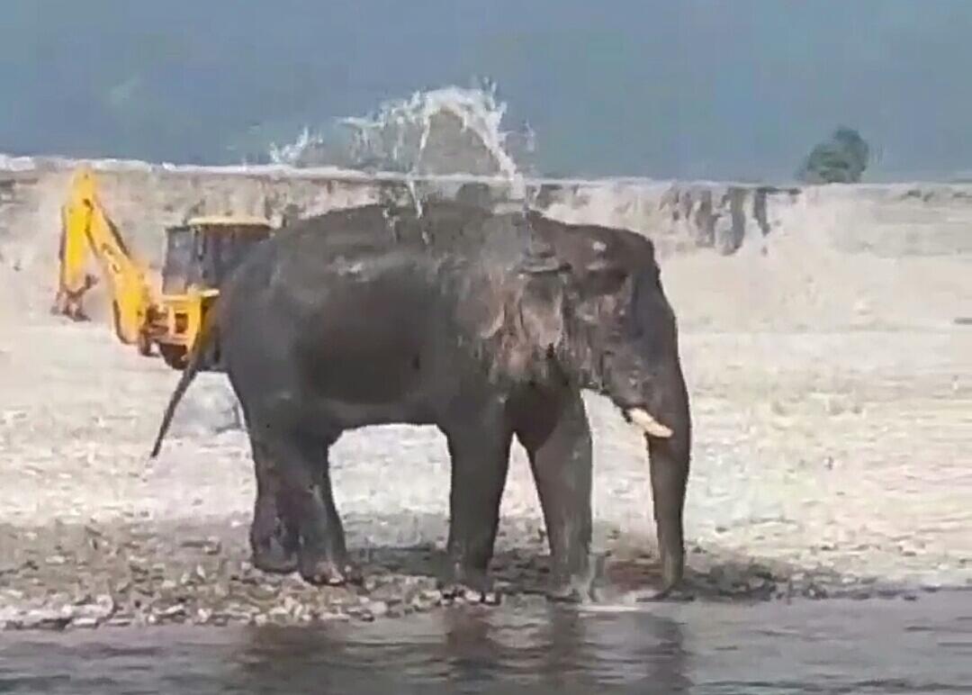 IMG-20241121-WA0168-1