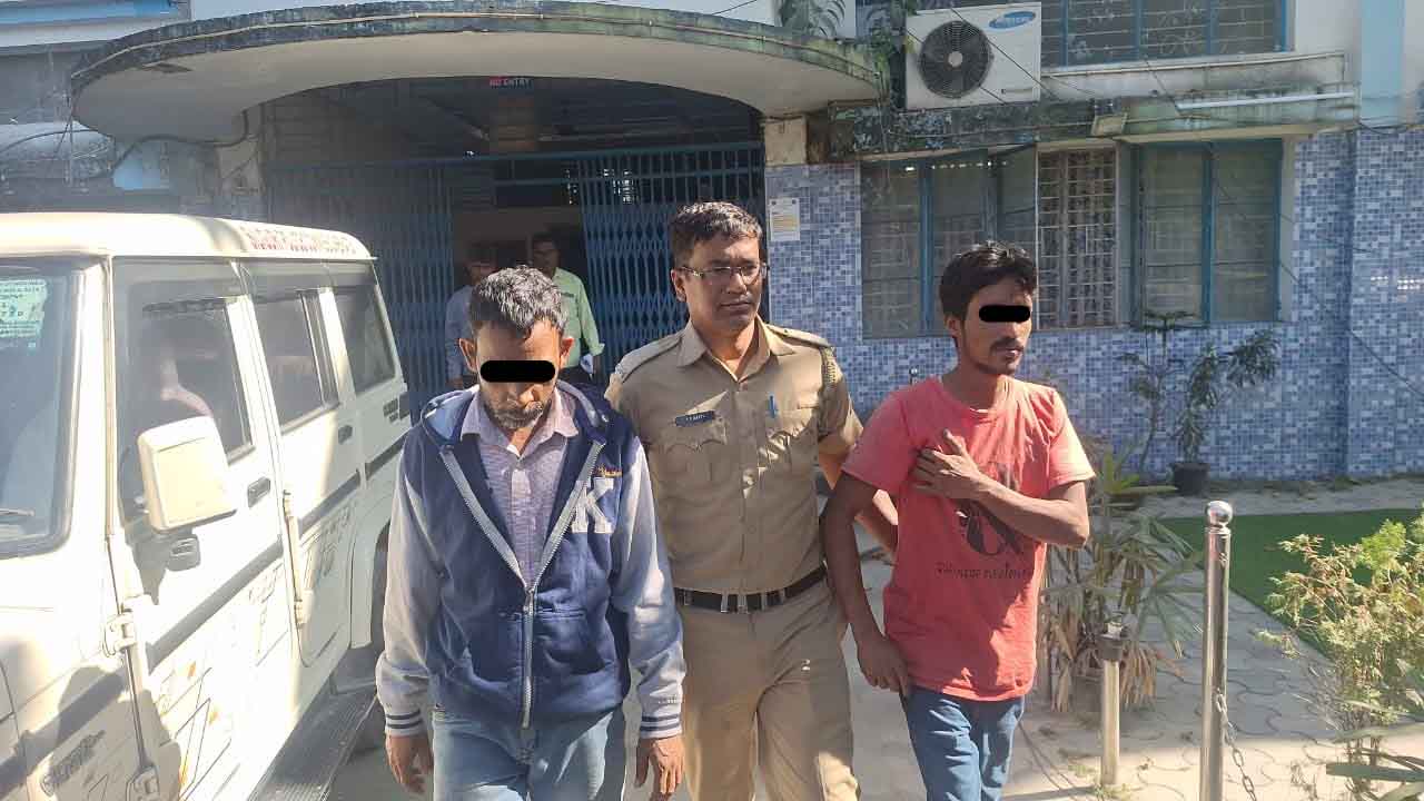 IMG-20241128-WA0187-copy