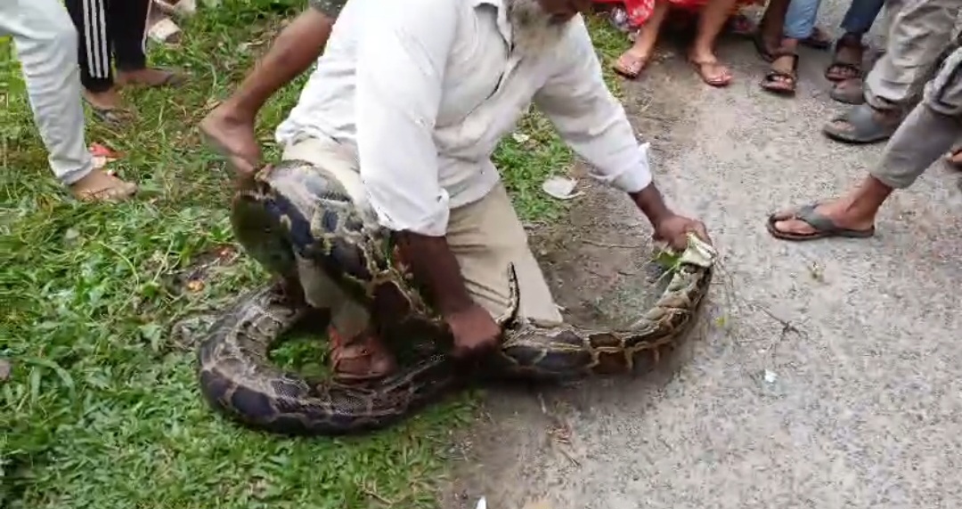 Screenshot_20241101_174118_WhatsApp