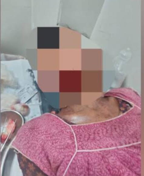 Screenshot_20241108_181919_Google