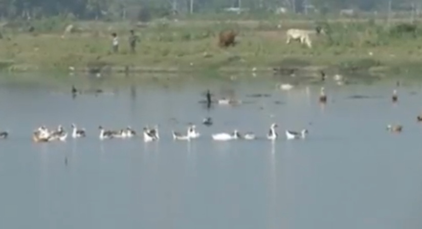 Screenshot_20241121_174531_YouTube