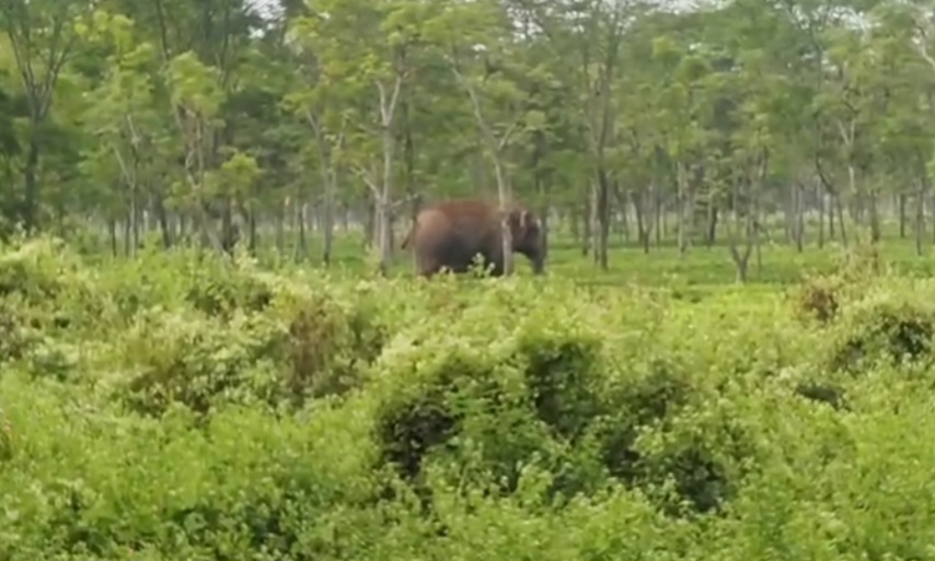 Screenshot_20241124_160948_WhatsApp