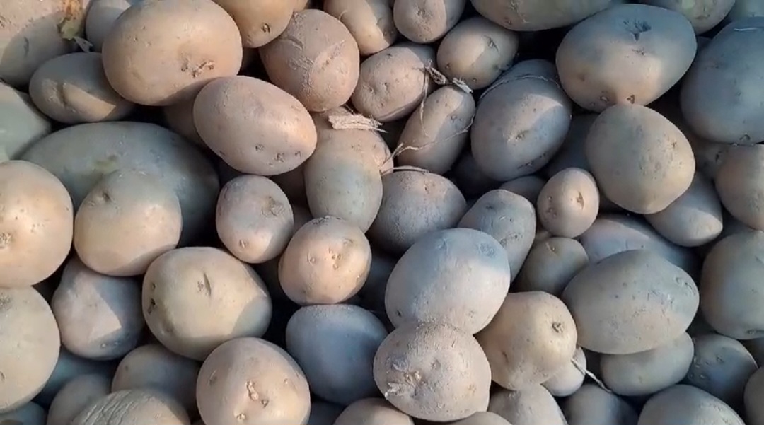 Screenshot_20241124_175341_WhatsApp