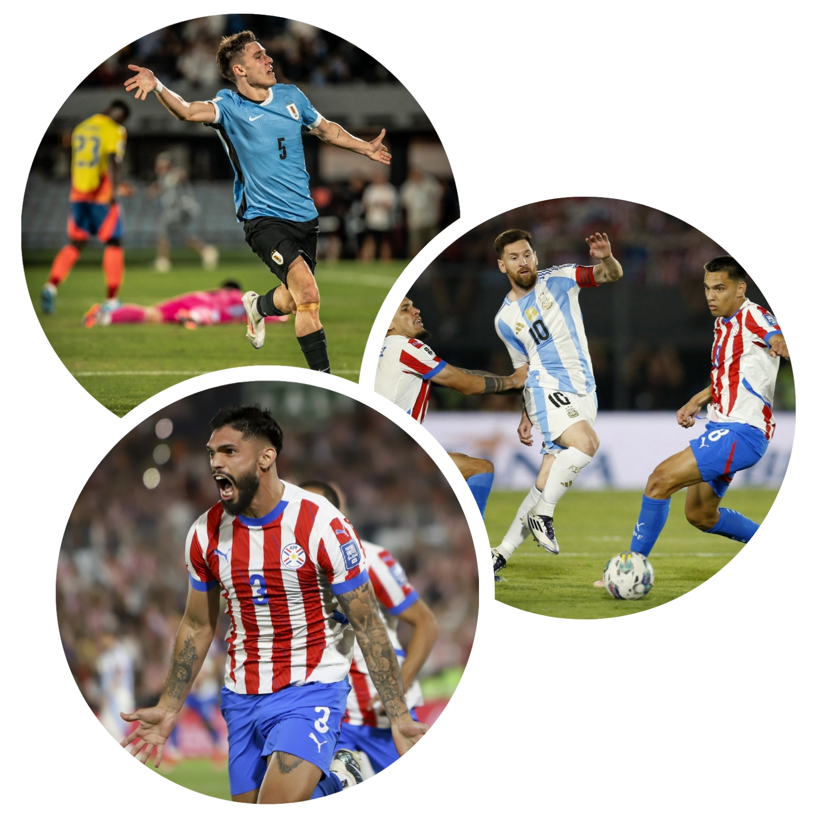 photocollage_20241116121058421