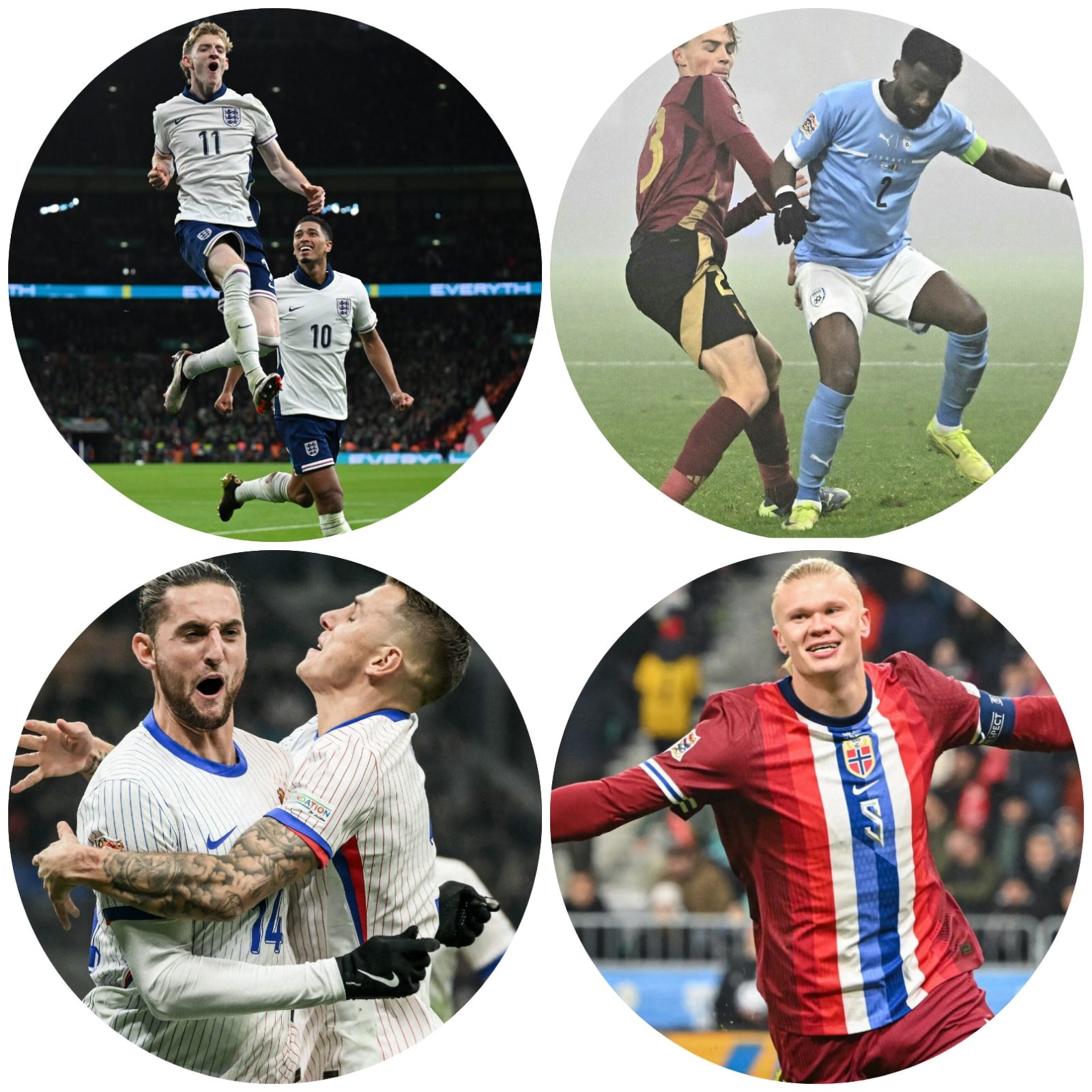 photocollage_2024111817621910