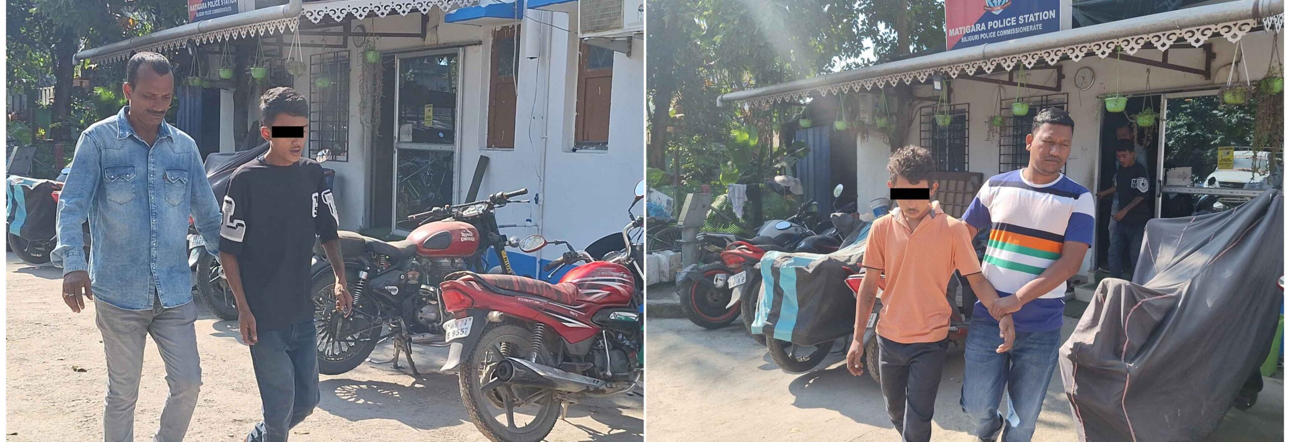 photocollage_20241119124146868-copy