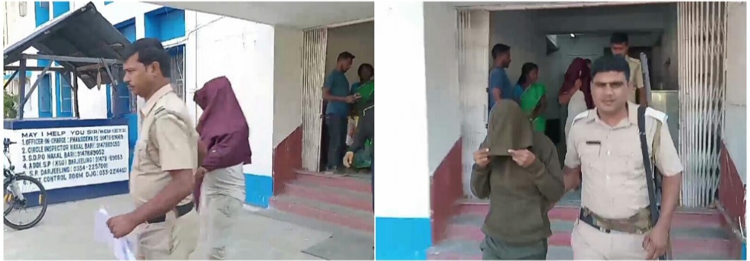 photocollage_20241121154332571