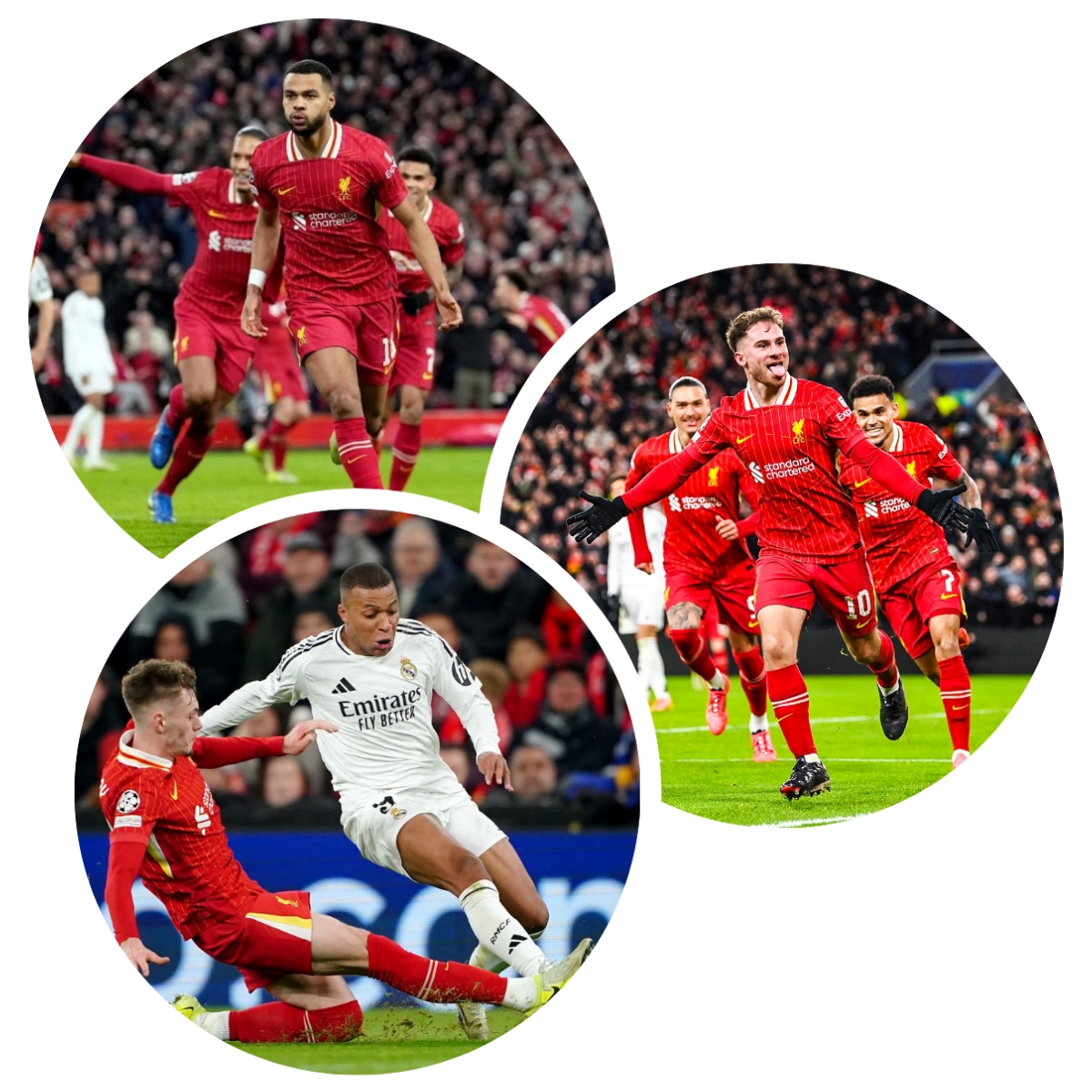 photocollage_20241128115820542