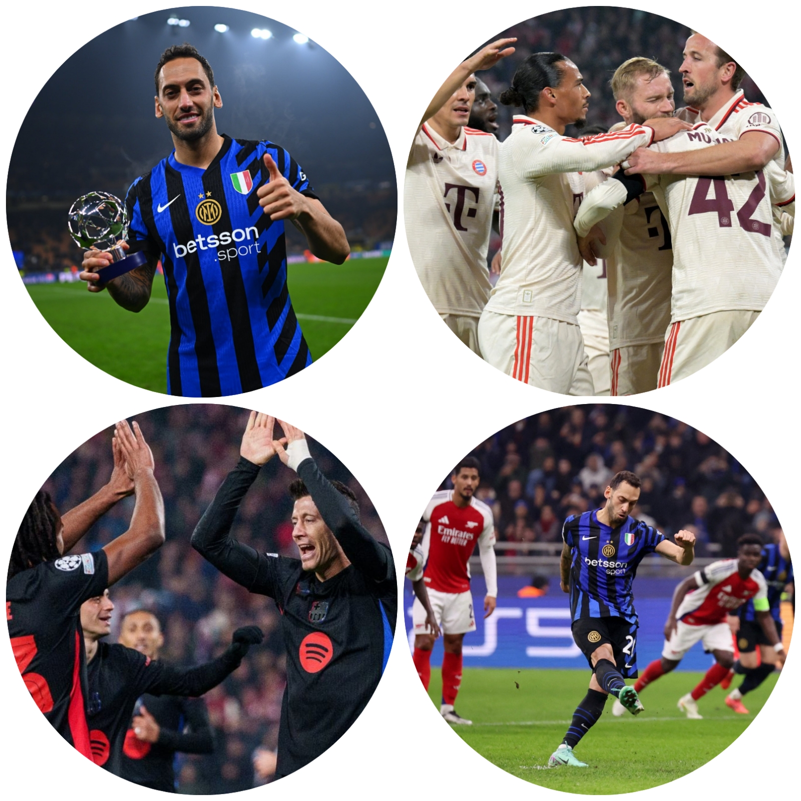 photocollage_202411712838588