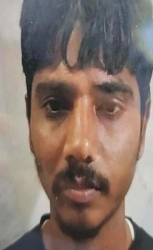 saroj_rai_1732873539686_1732873540017