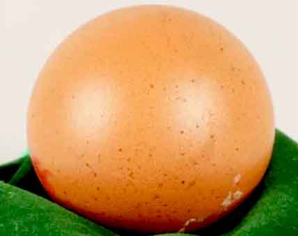 00-1-egg