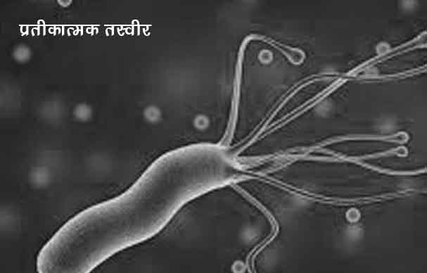 001-1-representative-image-copy