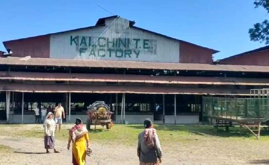 1699066611_new-project-2023-11-04t061327-699