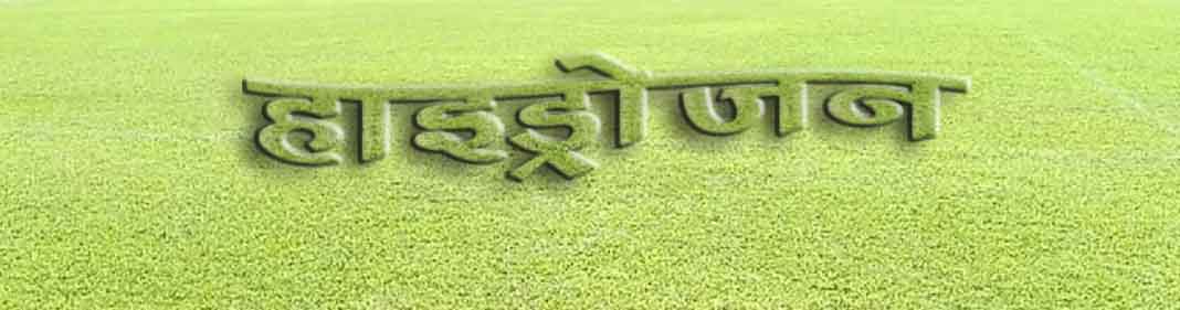 IMG-20240726-WA0246-copy