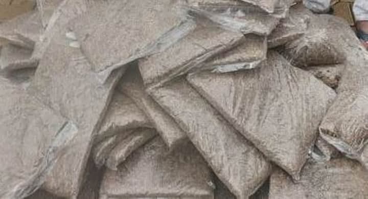 IMG-20241204-WA0041
