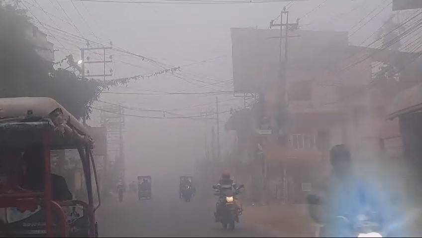 IMG-20241207-WA0137-1