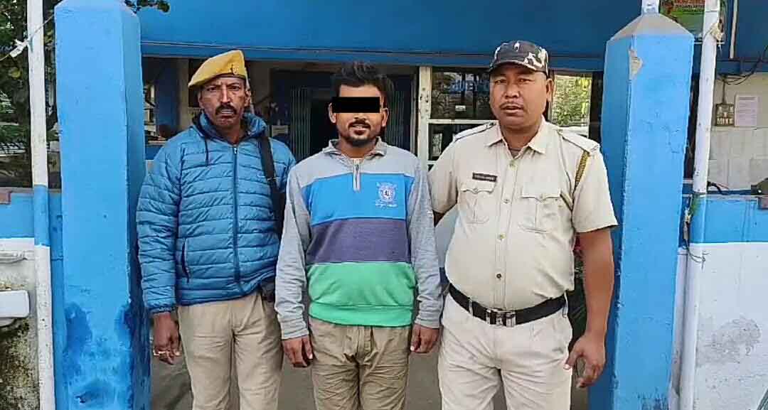 IMG-20241225-WA0228-copy