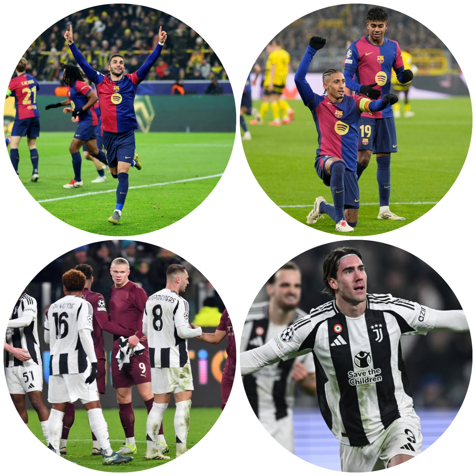 photocollage_20241213142225227