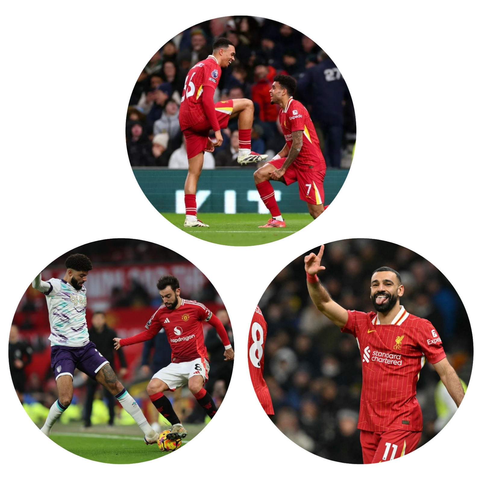 photocollage_20241223202111802