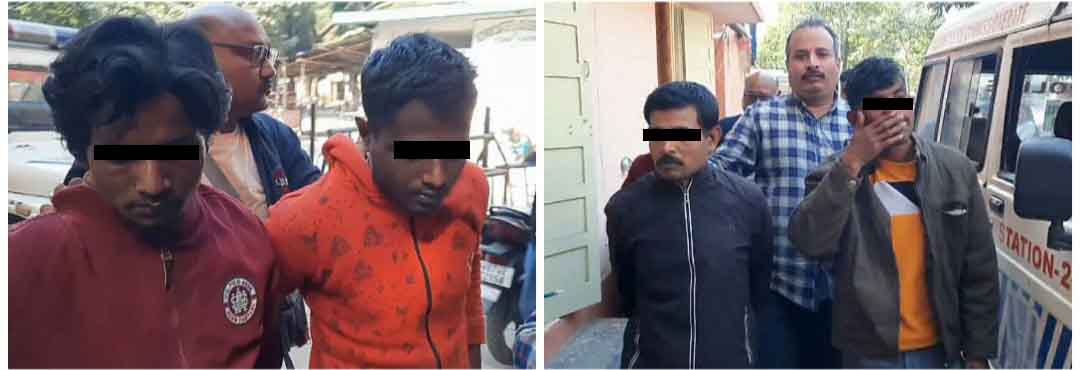 photocollage_20241225142540390-copy