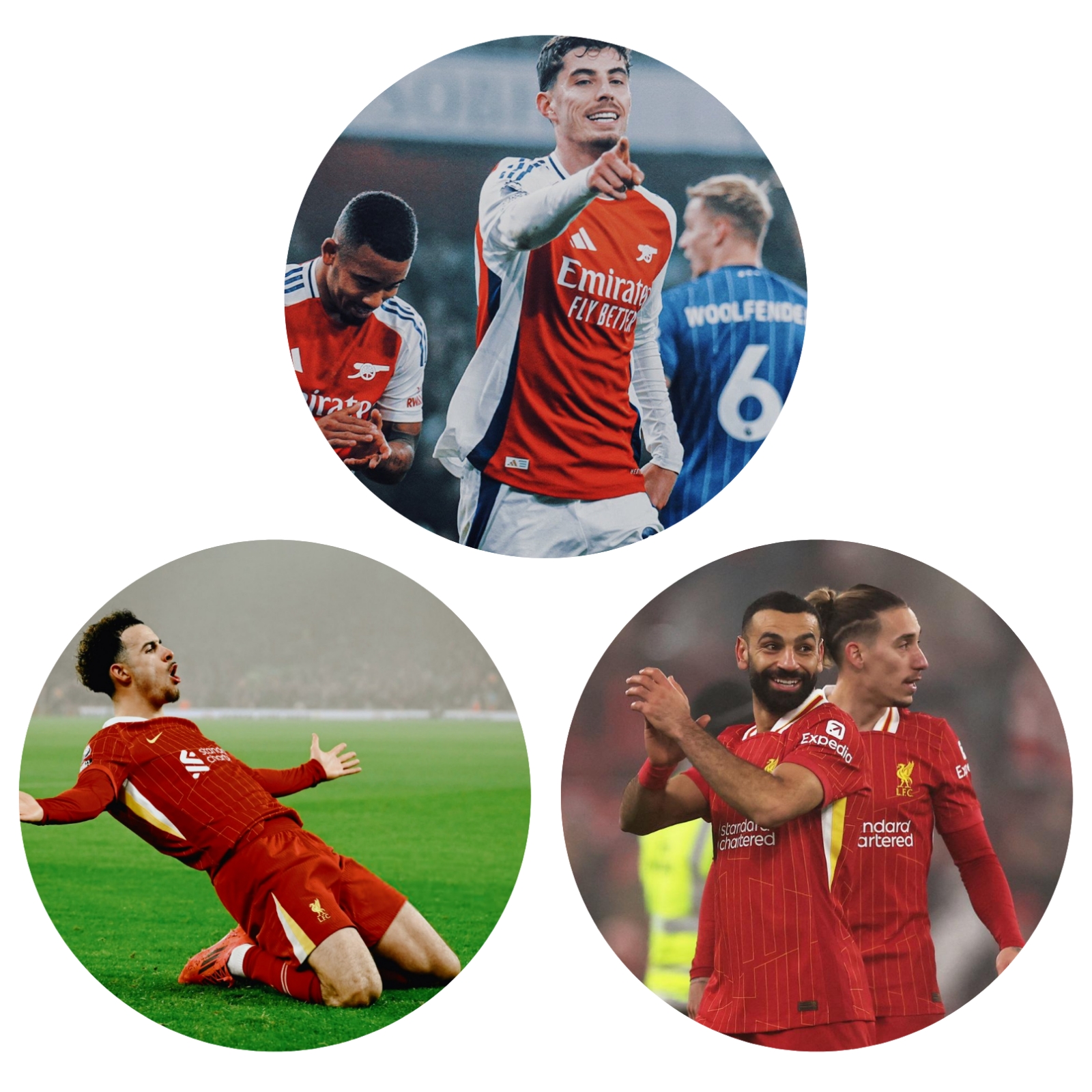 photocollage_202412281201182