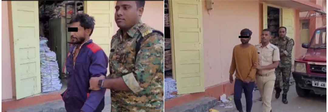 photocollage_20241229153359751-copy