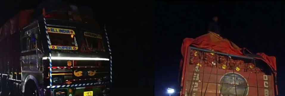 photocollage_202412514562221