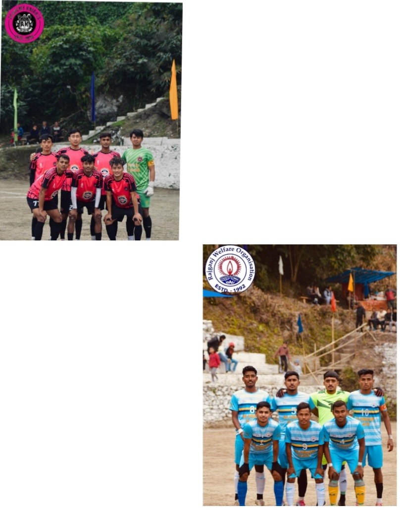 photocollage_20241272241926