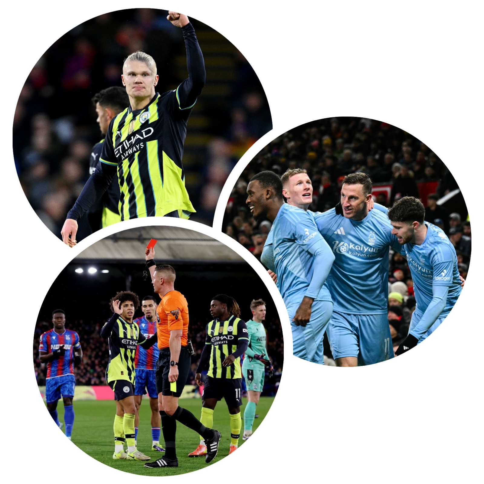 photocollage_2024128123333980