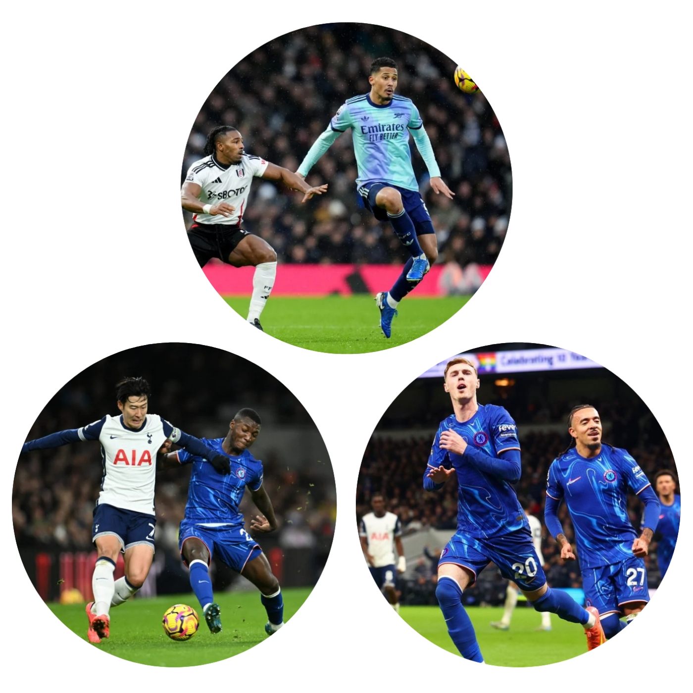 photocollage_202412911234168