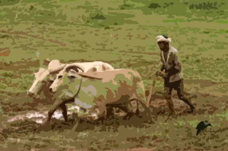 00-Farmers-1
