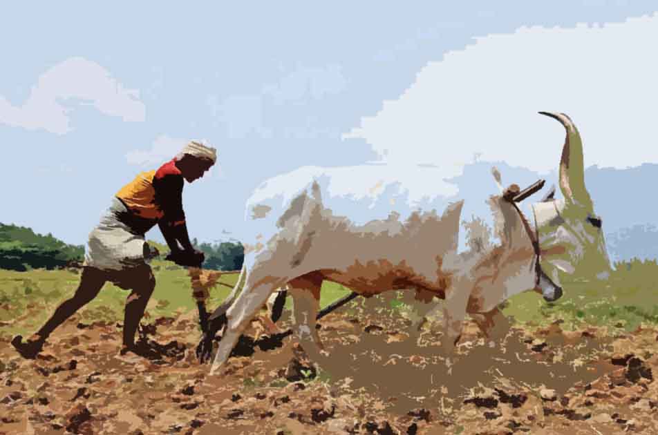 00-Farmers