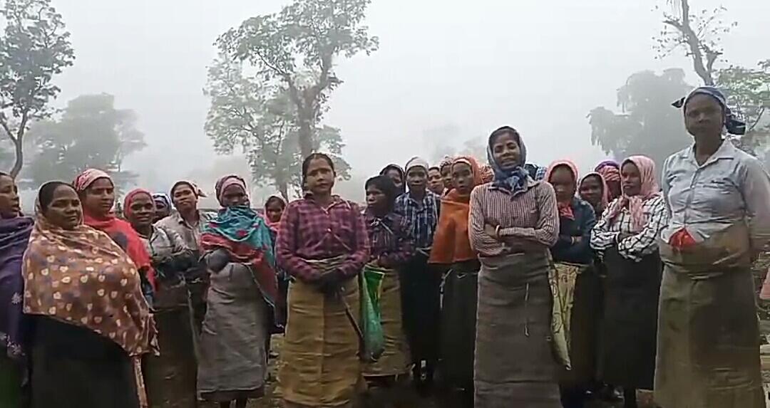 IMG-20250103-WA0169-1