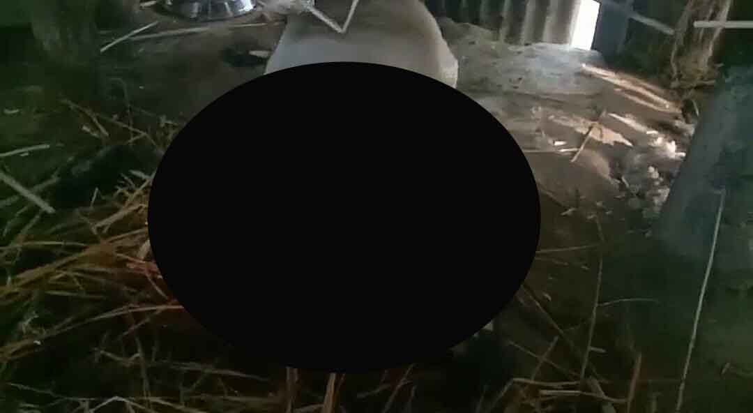 IMG-20250104-WA0222-copy