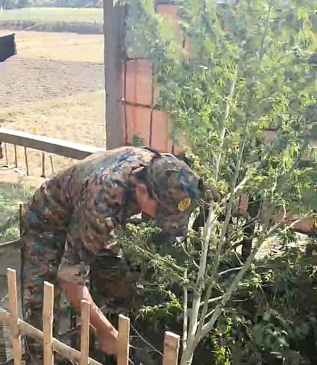 IMG-20250108-WA0141-1