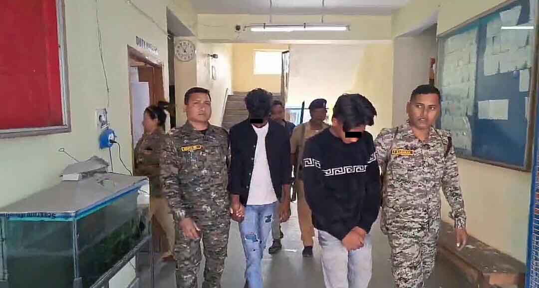 IMG-20250110-WA0252-copy