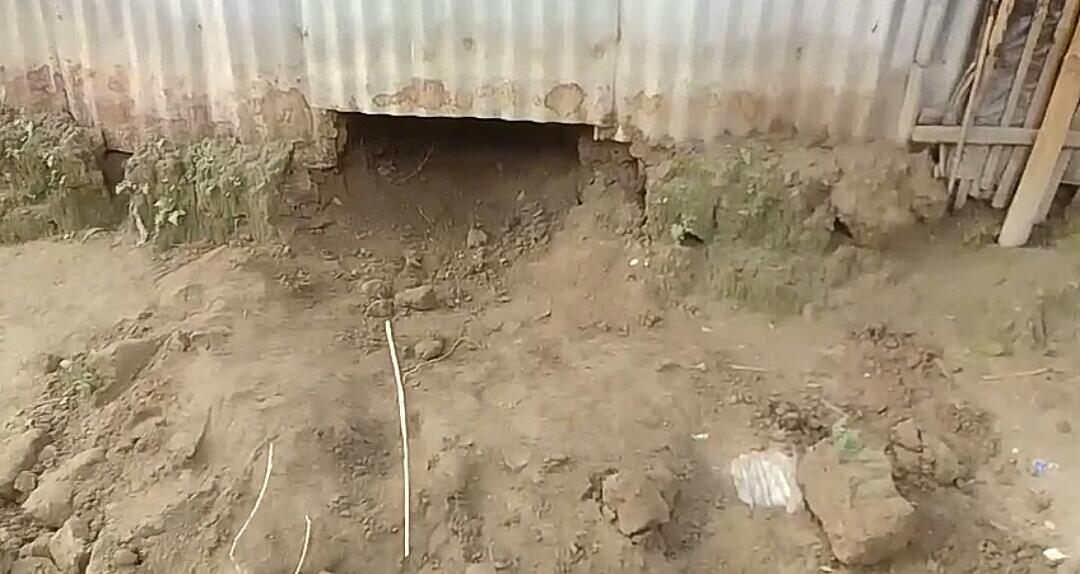 IMG-20250112-WA0221-1