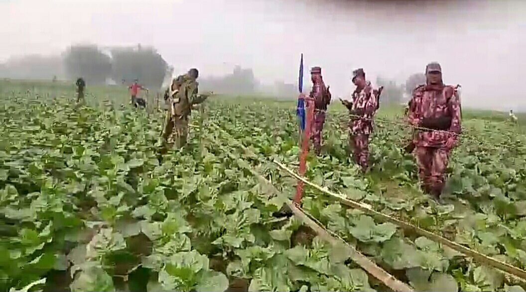 IMG-20250128-WA0155-1