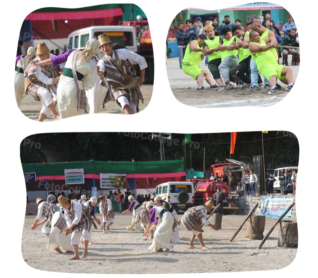 Screenshot_20250111_224939_FotoCollage Maker