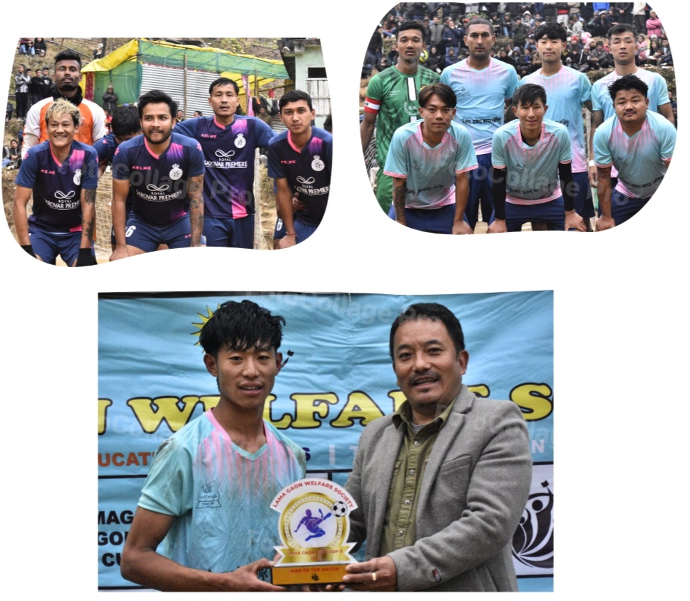 Screenshot_20250123_211536_FotoCollage Maker