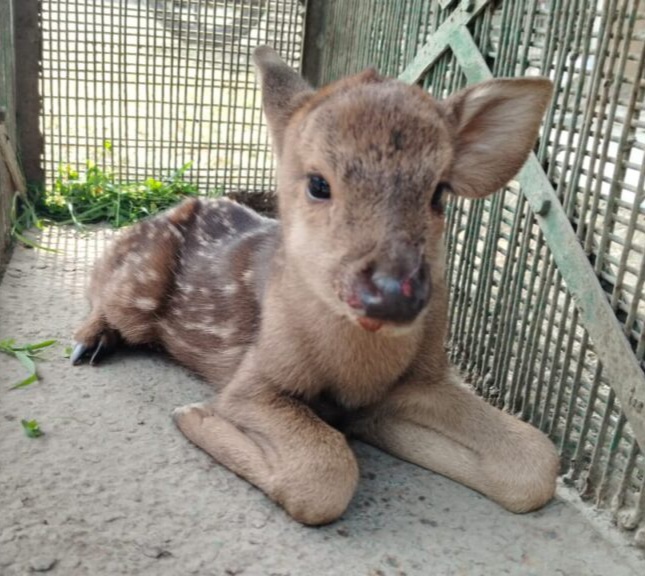 ce5fb130-d0b5-402f-a39d-6a7471e5fc46-1024×576 ce5fb130-d0b5-402f-a39d-6a7471e5fc46-1024x576