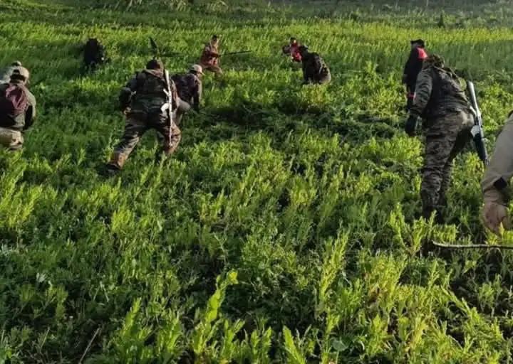 n646887139173643844785528e514dd8d9c35b1de80cbc878f5f70e2854c9caed2cde57ac04657bb9d18b1a