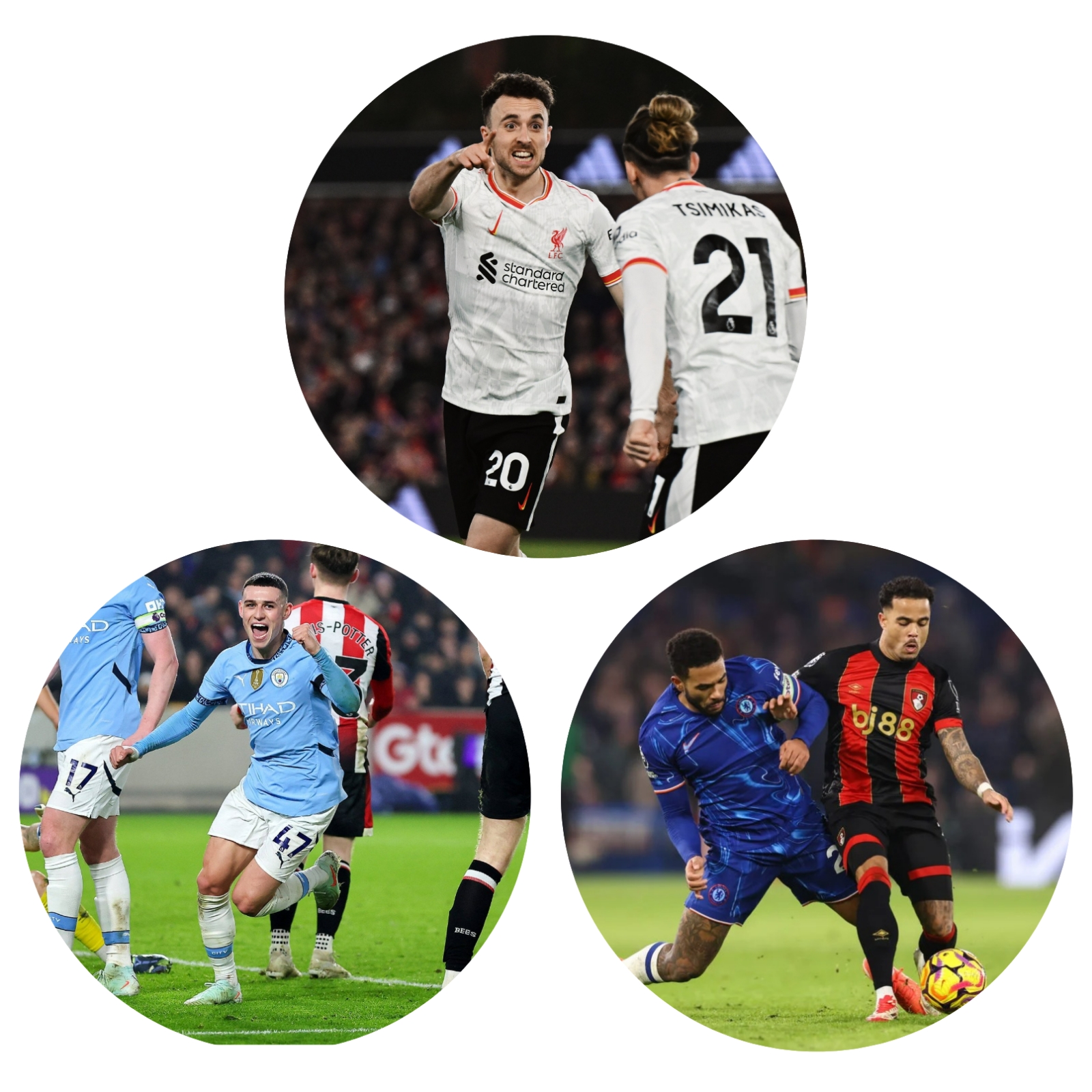 photocollage_2025115131213806