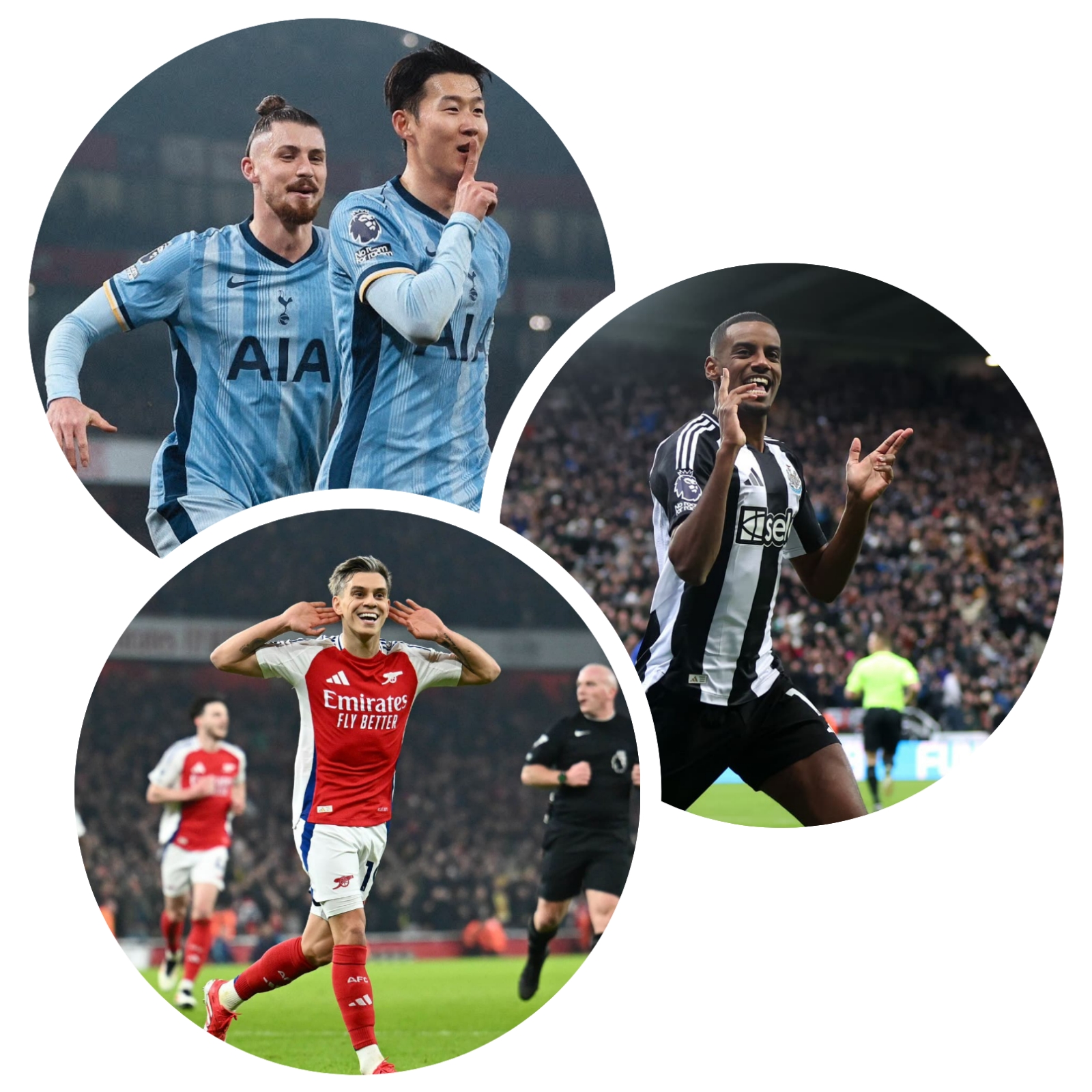 photocollage_2025116144514916