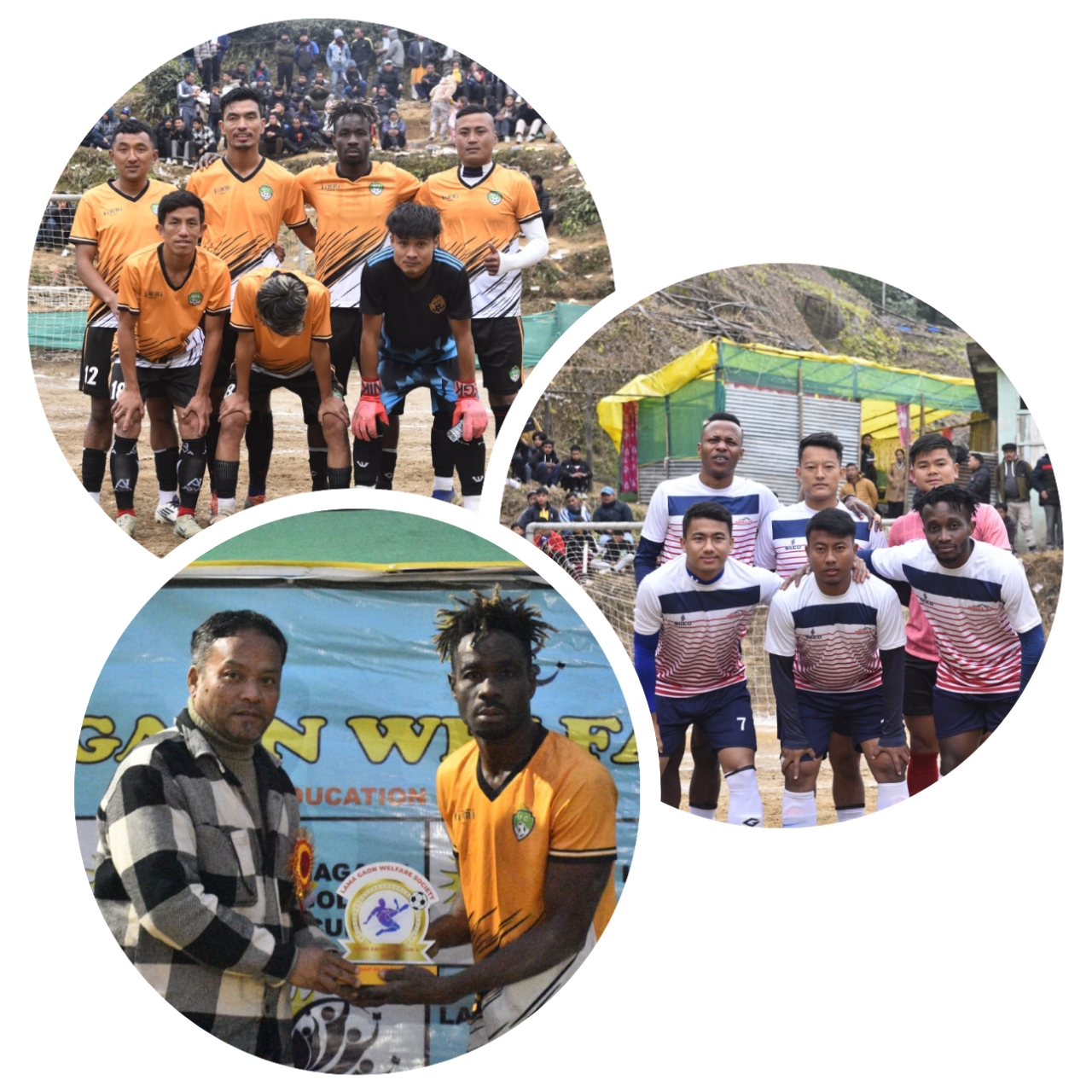 photocollage_202511623018204