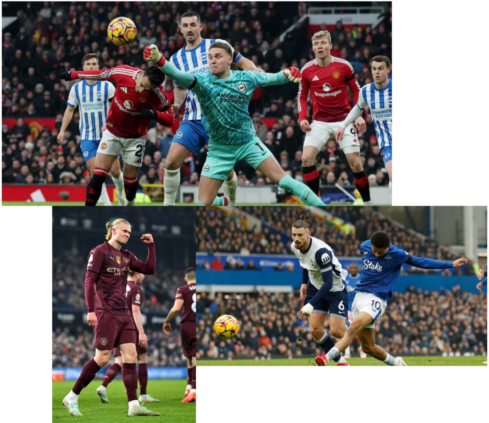 photocollage_202512013281710