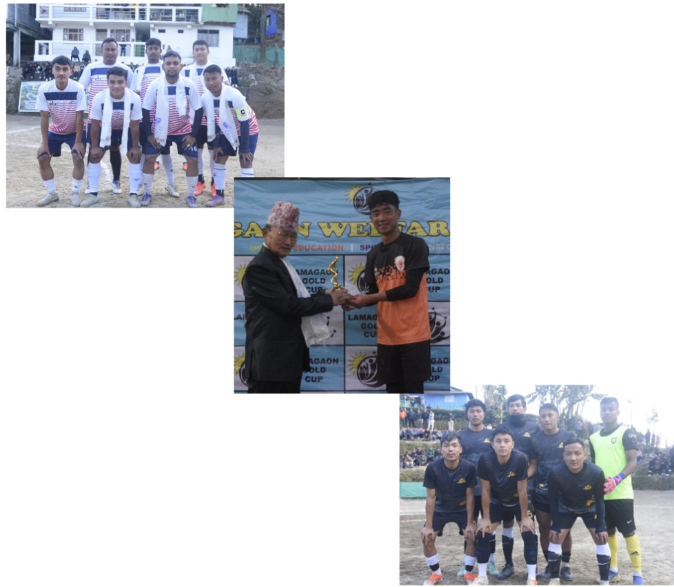 photocollage_202516211345822