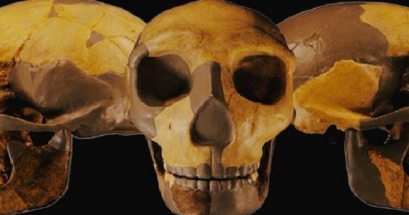 untitled-6-750x394-1