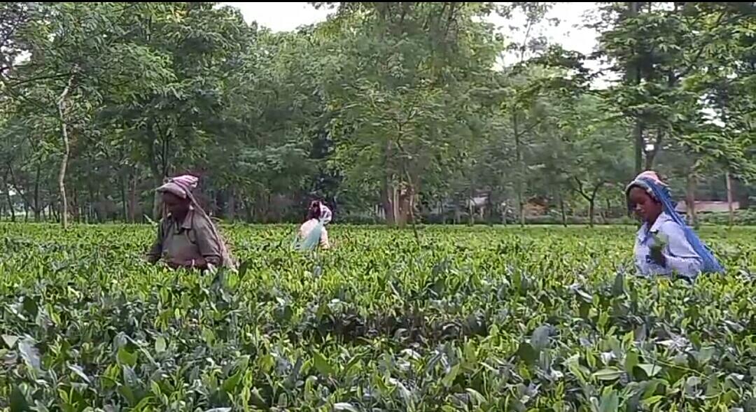 IMG-20250208-WA0150-1